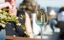 Load image into Gallery viewer, Cherry Blossom Collection