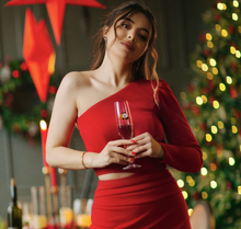 Load image into Gallery viewer, Holly Jolly Collection