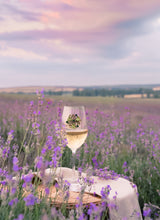 Load image into Gallery viewer, Ivy League Collection