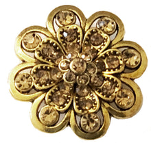 Load image into Gallery viewer, Gold Coast Collection