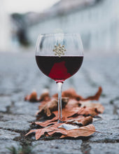 Load image into Gallery viewer, Winter Wonderland Collection
